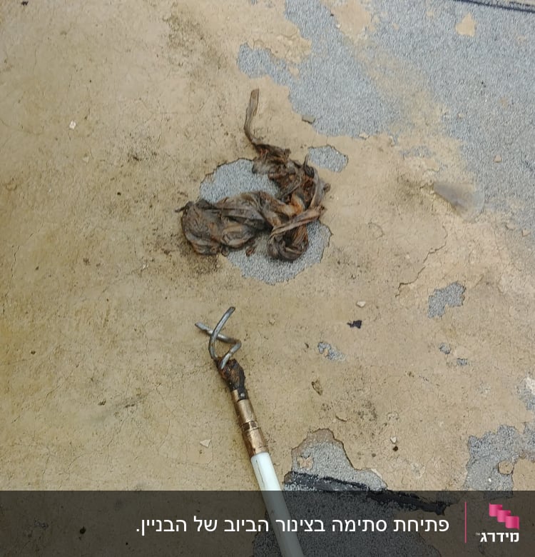 כלי עבודה של אינסטלטור על רצפה עם לכלוך